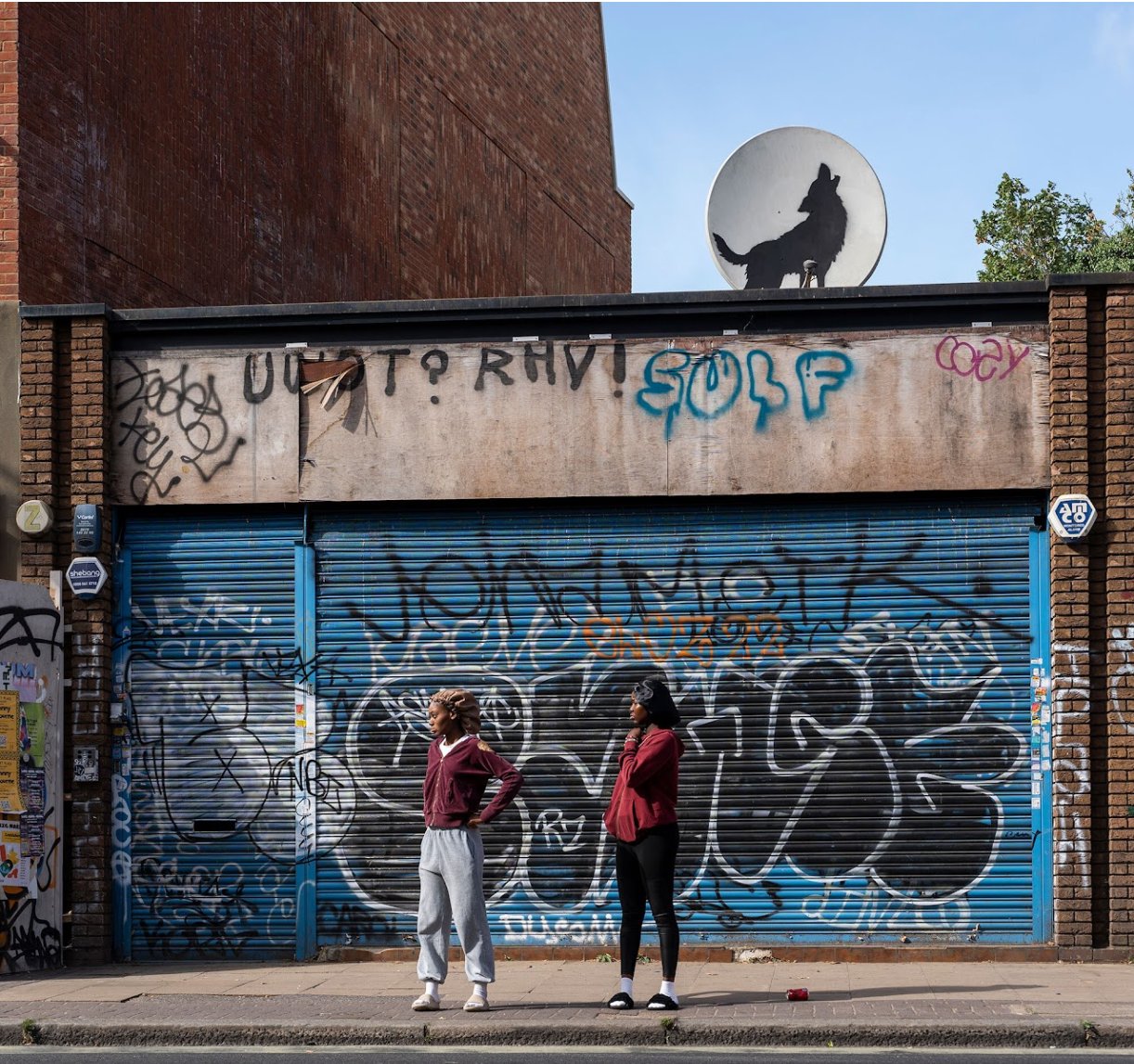 Day 4: Wolf (8 August 2024)