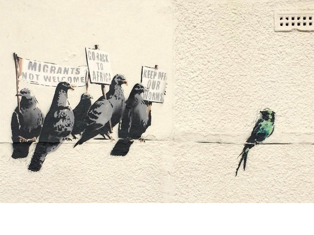 Protesting Birds, Clacton on the Sea, October 2014