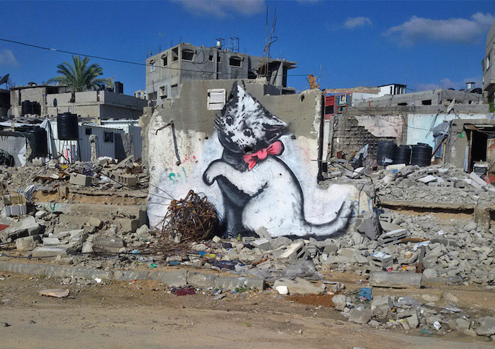 Kitten, Gaza City