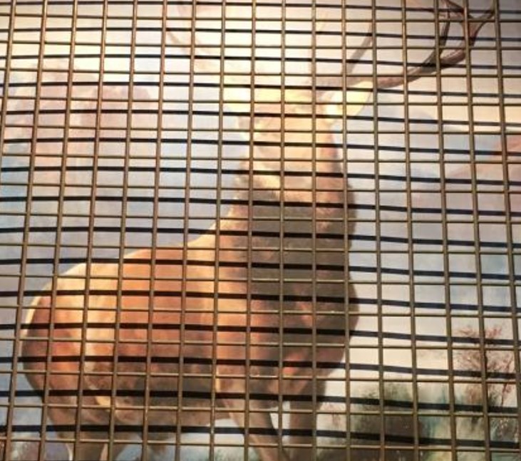 Banksy, Deer Behind Bars