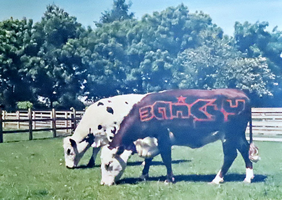 Banksy, Raising the Steaks
